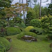 Neoddeliteľnou súčasťou japonských záhrad sú rôzne druhy javorov (Francúzsko)